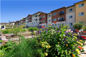 Community garden